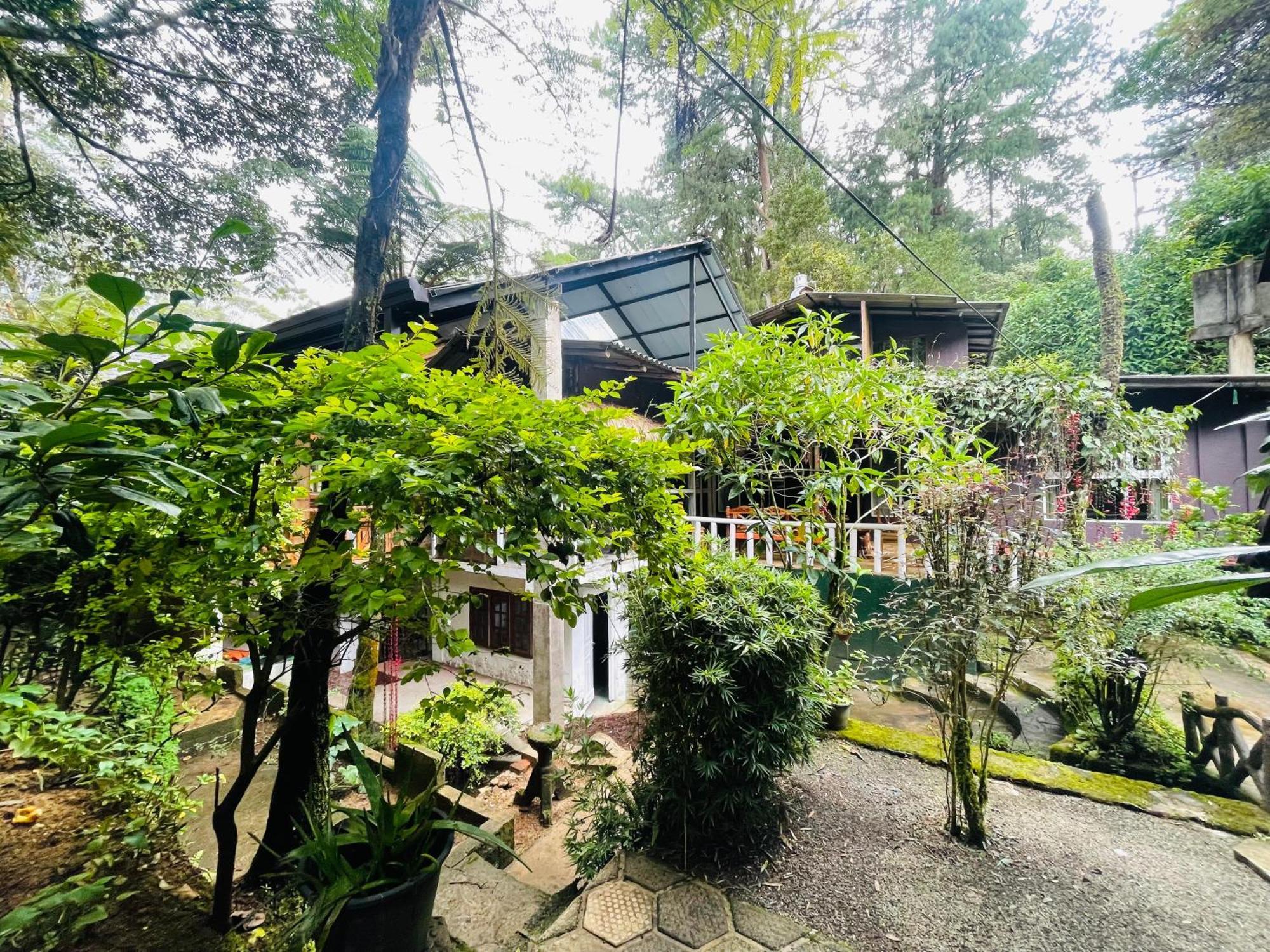 King Fern Cottage Nuwara Eliya Eksteriør bilde