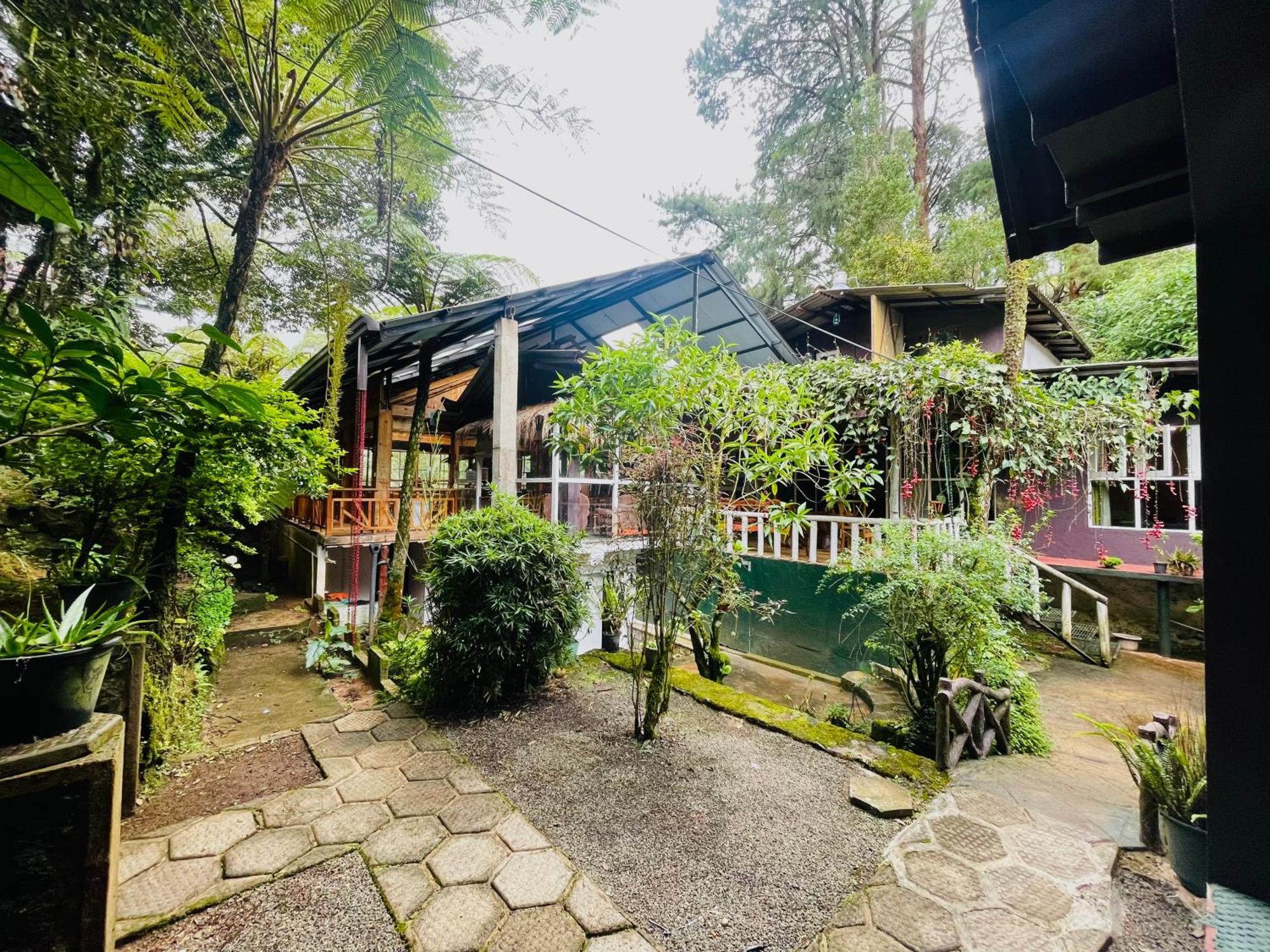 King Fern Cottage Nuwara Eliya Eksteriør bilde
