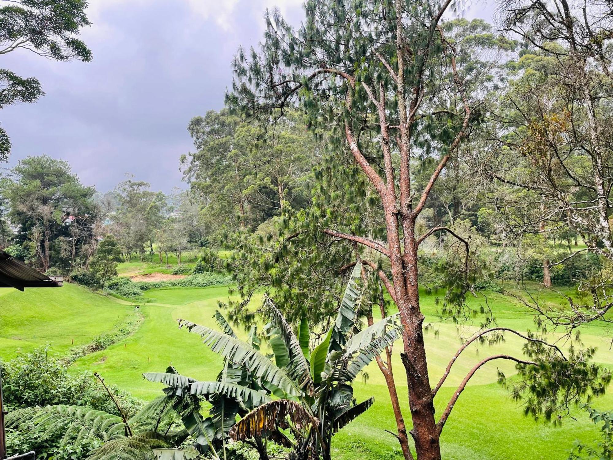 King Fern Cottage Nuwara Eliya Eksteriør bilde