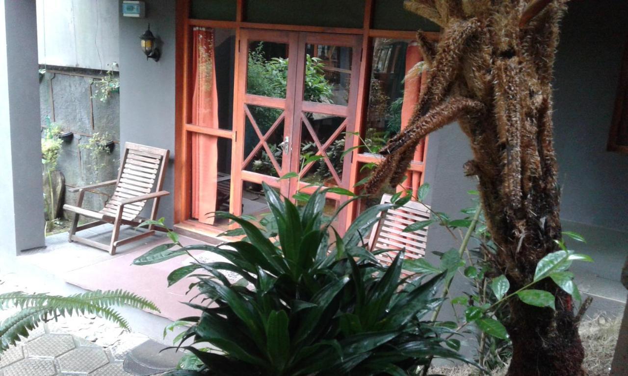 King Fern Cottage Nuwara Eliya Eksteriør bilde