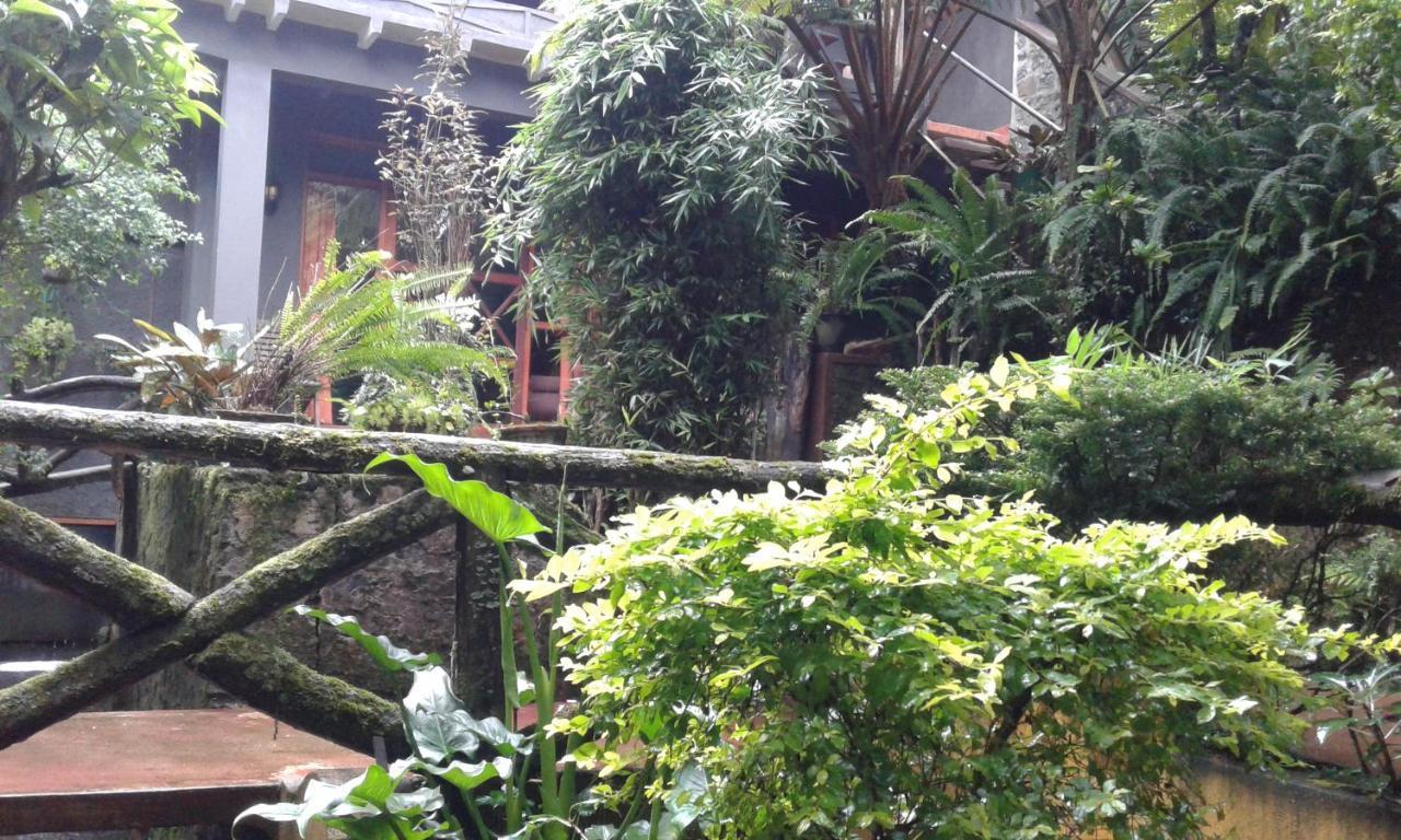 King Fern Cottage Nuwara Eliya Eksteriør bilde
