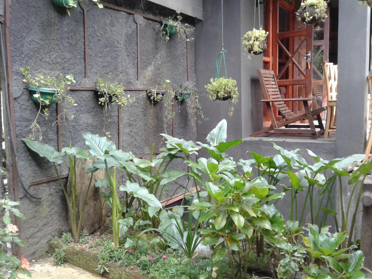 King Fern Cottage Nuwara Eliya Eksteriør bilde