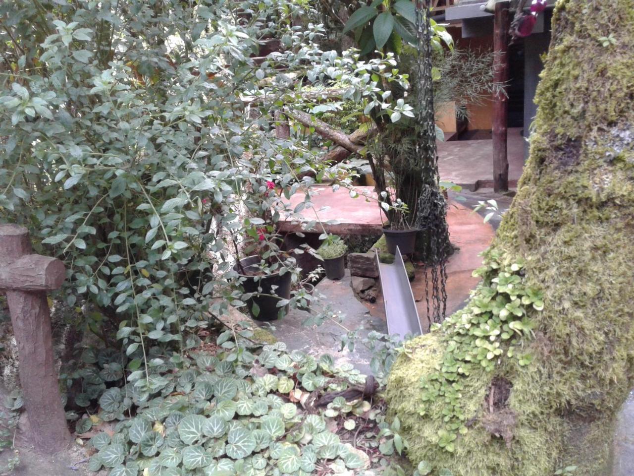 King Fern Cottage Nuwara Eliya Eksteriør bilde