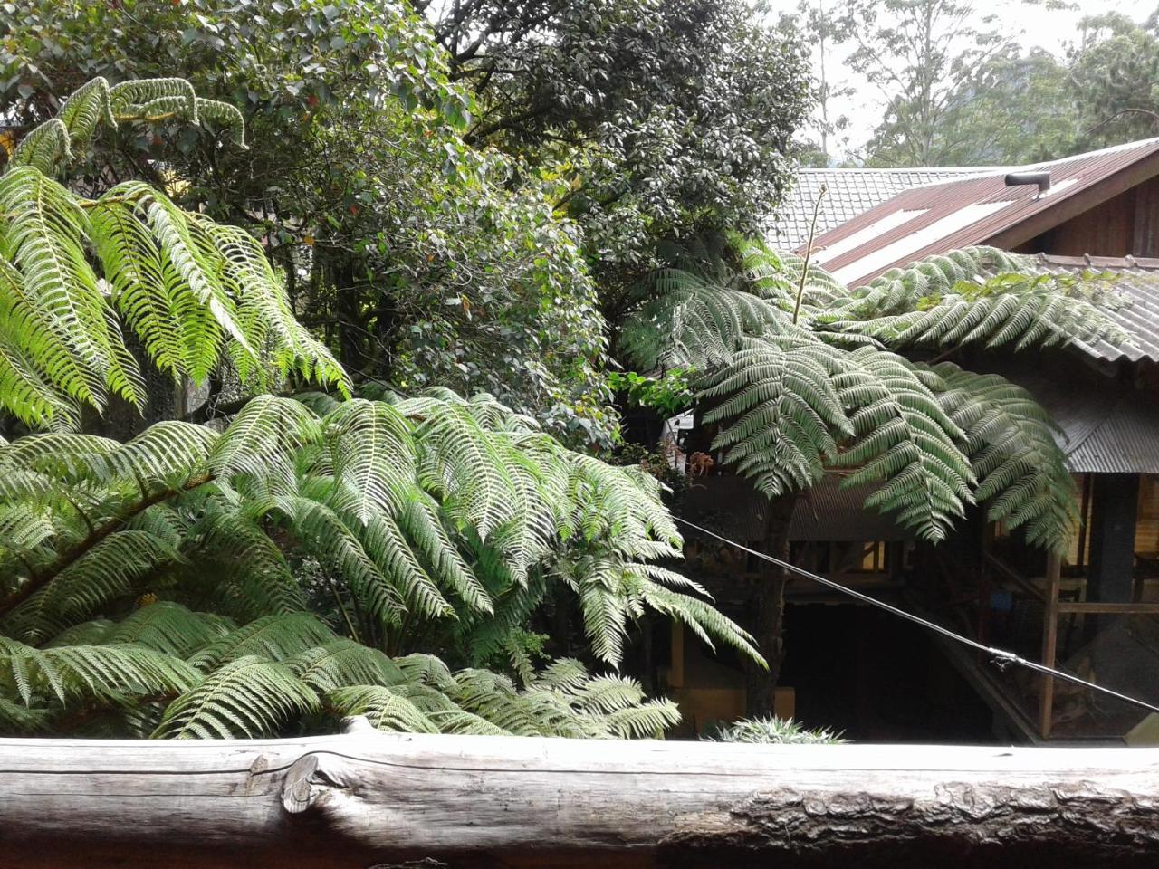 King Fern Cottage Nuwara Eliya Eksteriør bilde